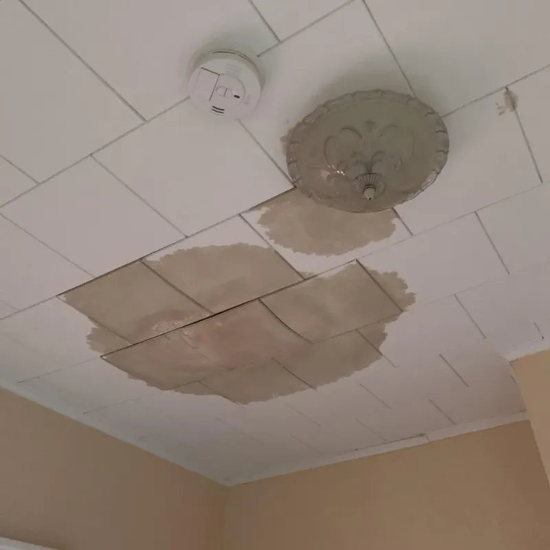 Ceiling Water Damage Repair in Knox County, TN