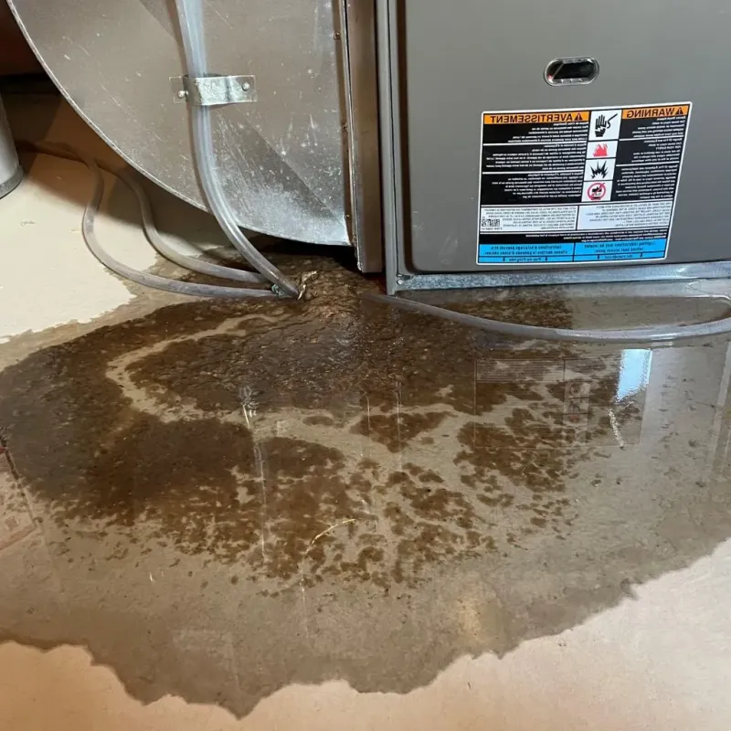 Pipe Burst and Leak Restoration in Knox County, TN