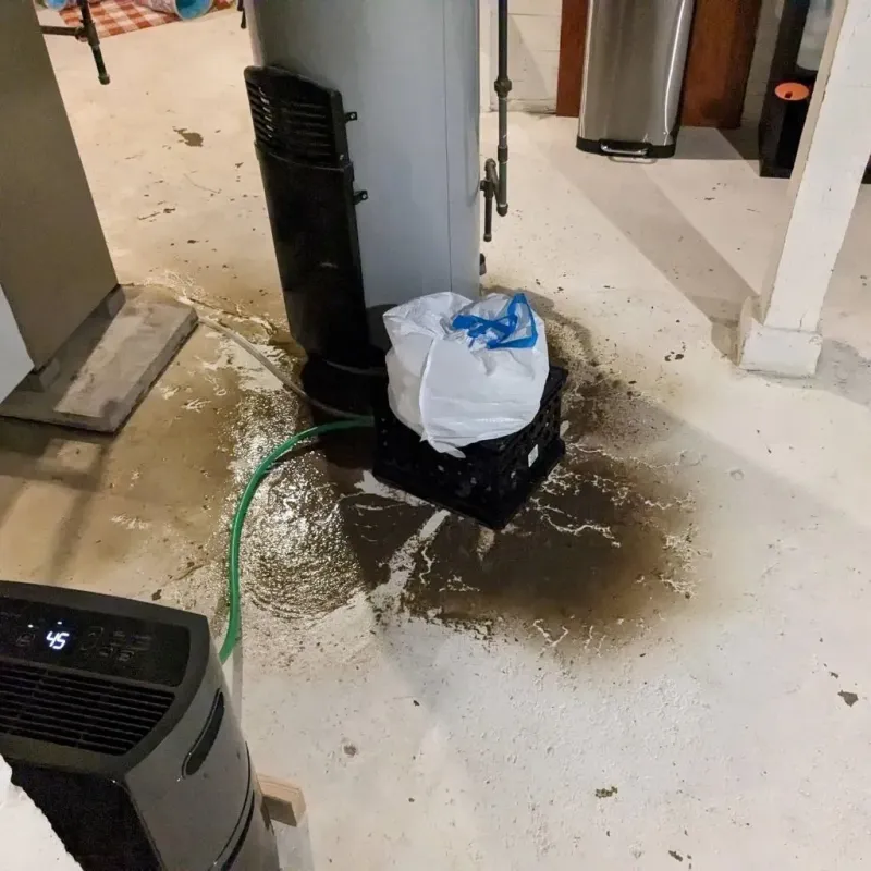 Sewage Backup Cleanup Service in Knox County, TN